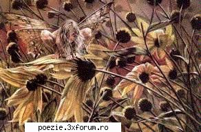 pragul inimii vineri, soarele era pe picior de tale mă atingeau cu ca buzele mele
intre pulpele