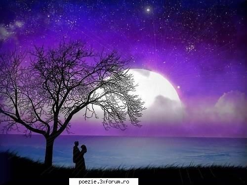 un alt anotimp - Toamna asta e bolnava dupa violet ! Pantofii - POEZII