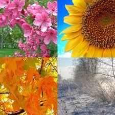 un alt anotimp - De ce iti scriu ?Nu ai bagheta fermecata Sa poti - POEZII