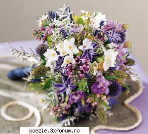 un alt anotimp - Priviri scaldate-n lumina aromata ... Buze - POEZII